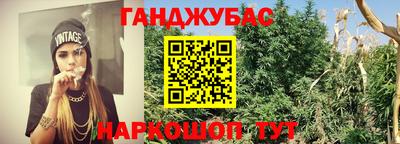 прущие грибы Баксан