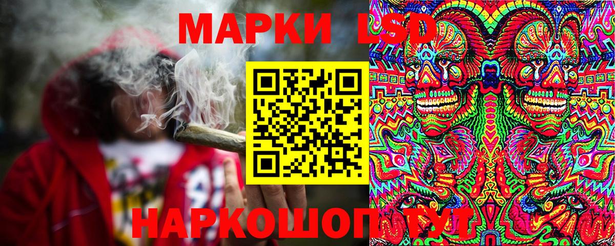  COCAIN Кировск