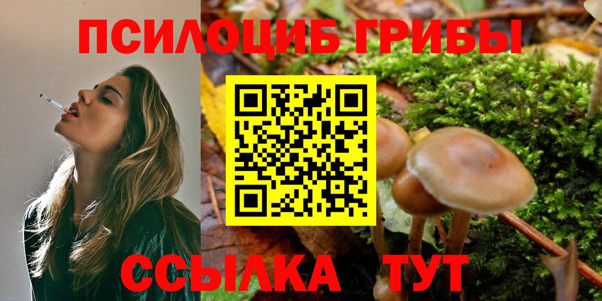 Галлюциногенные грибы GOLDEN TEACHER Кировск