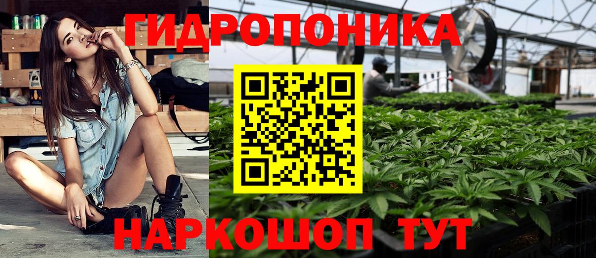 Бошки марихуана сатива  Марихуана White Widow  Вход с VPN  Кировск  Шишки марихуана конопля 